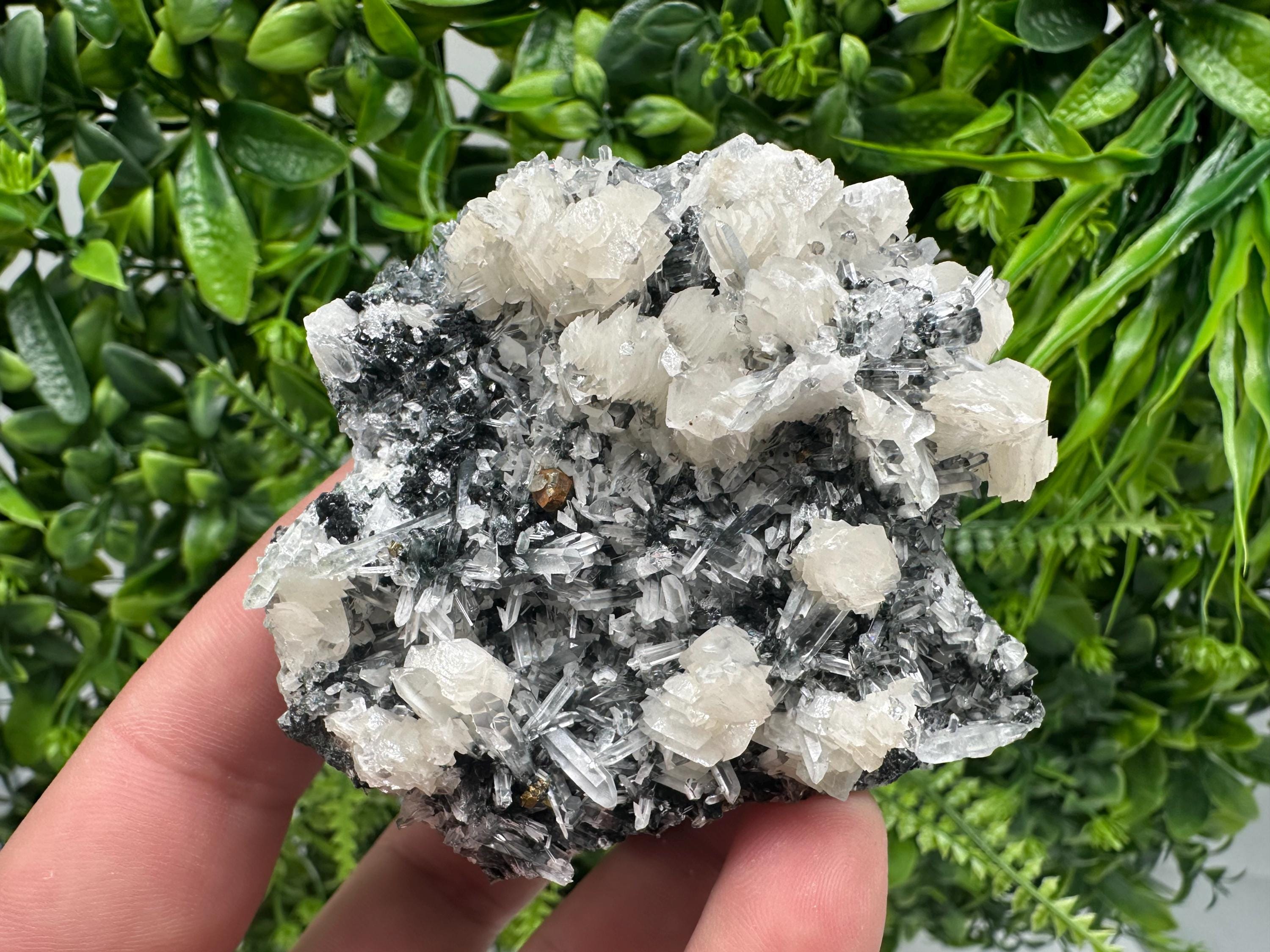 UV Fluorescence Calcite on Sphalerite Quartz, Borieva Bulgaria Mineral Specimen