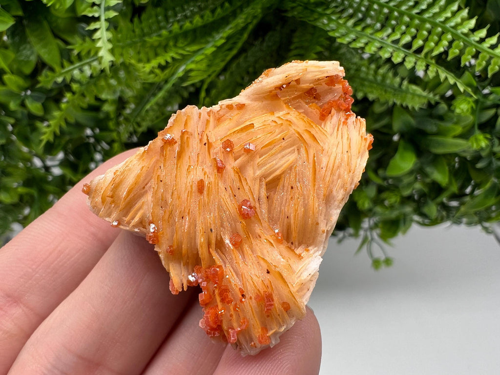 Red Vanadinite on Barite from Marocco,crystal minerals Speciment cluster Vanadinite crystal Vanadinite Geology Vanadinite cluster minerals