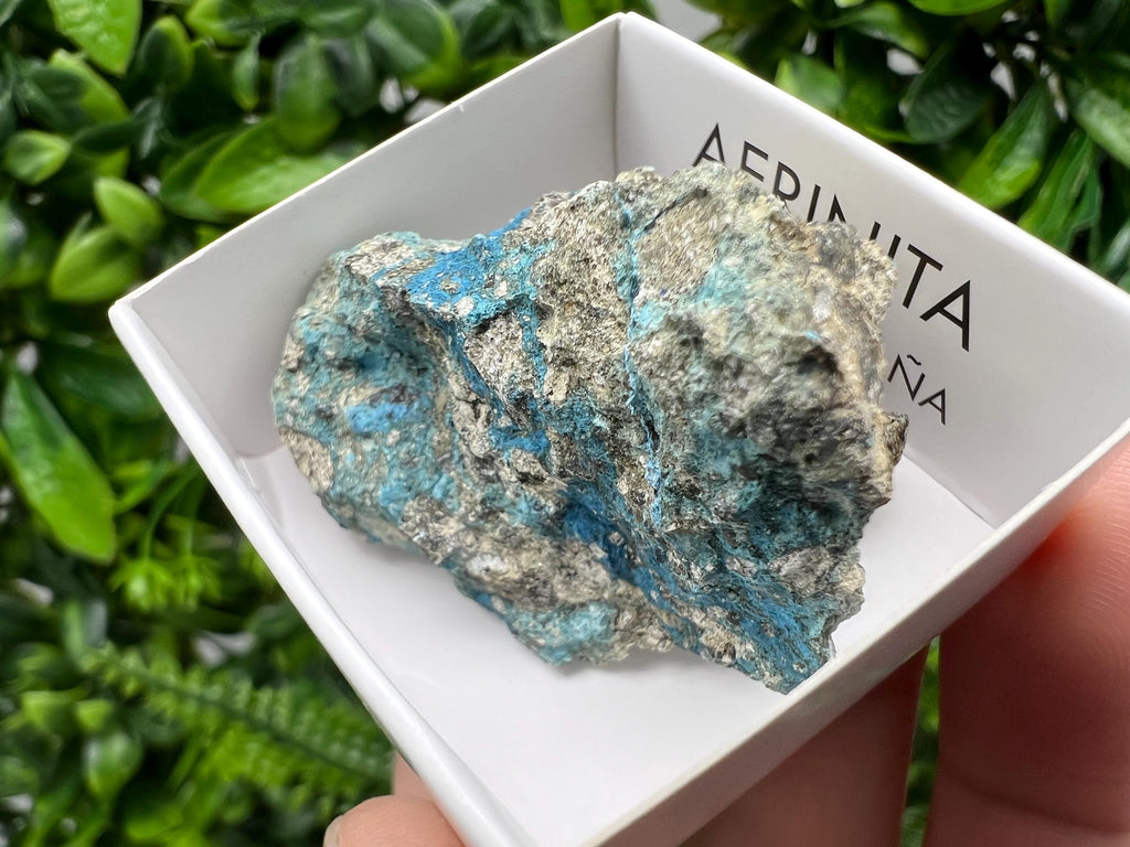 Rare Raw Aerinite Mineral Specimen: Lleida, Spain (4.5/3.5 CM)
