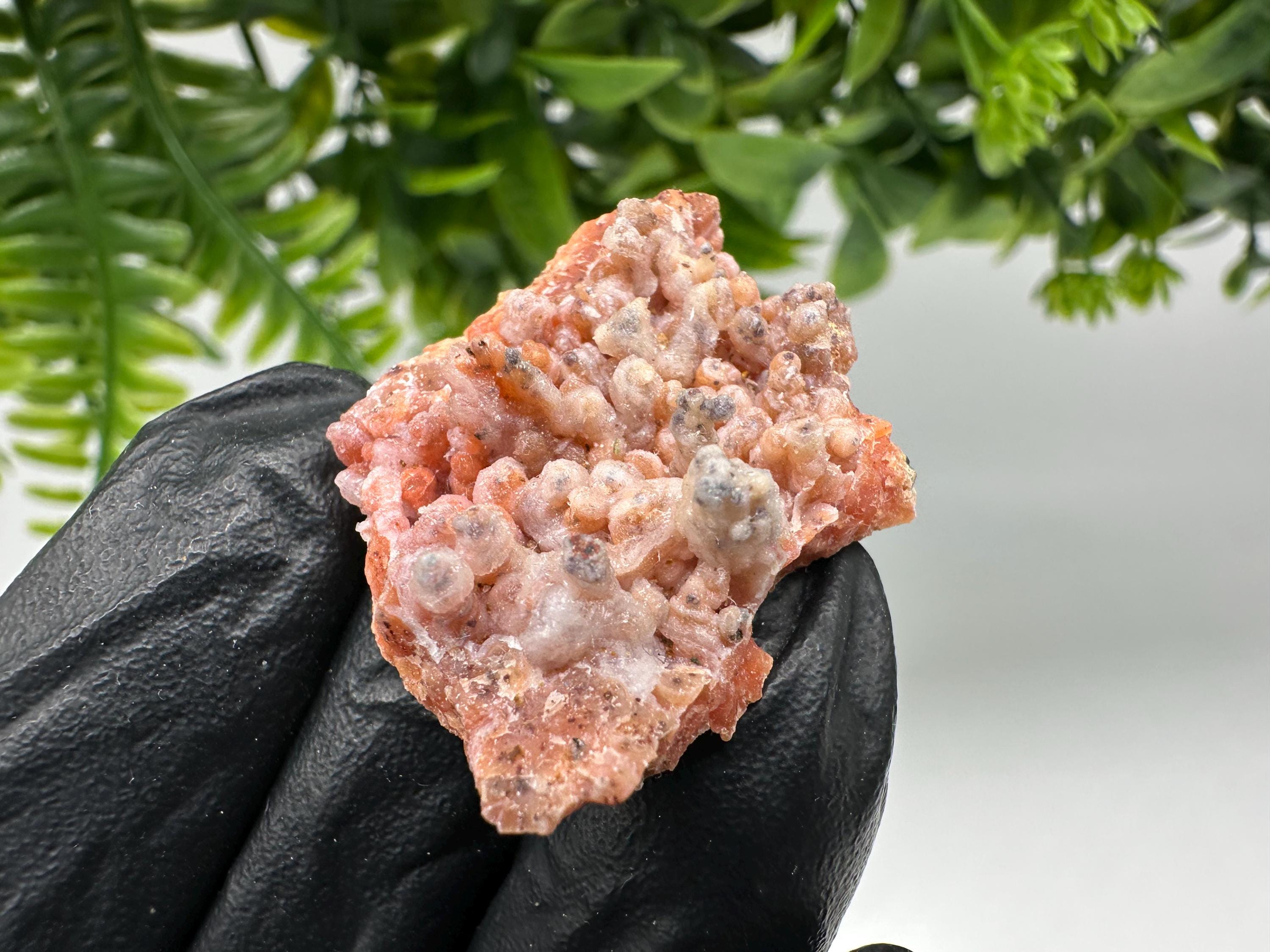 Stunning Red Chalcedony from Morocco,Morocco Minerals,Crystals,rare red Chalcedony,Red Crystal,Mineral Specimen,red minerals,souvenir gift