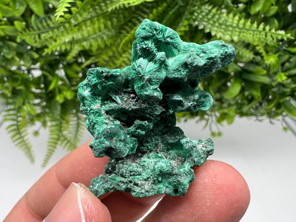 Malachite Crystal from Congo,Minerals,Crystals from Congo,Green Malachite, Malachite,Natural Malachite,Malachite Stone,Chakra, Specimens