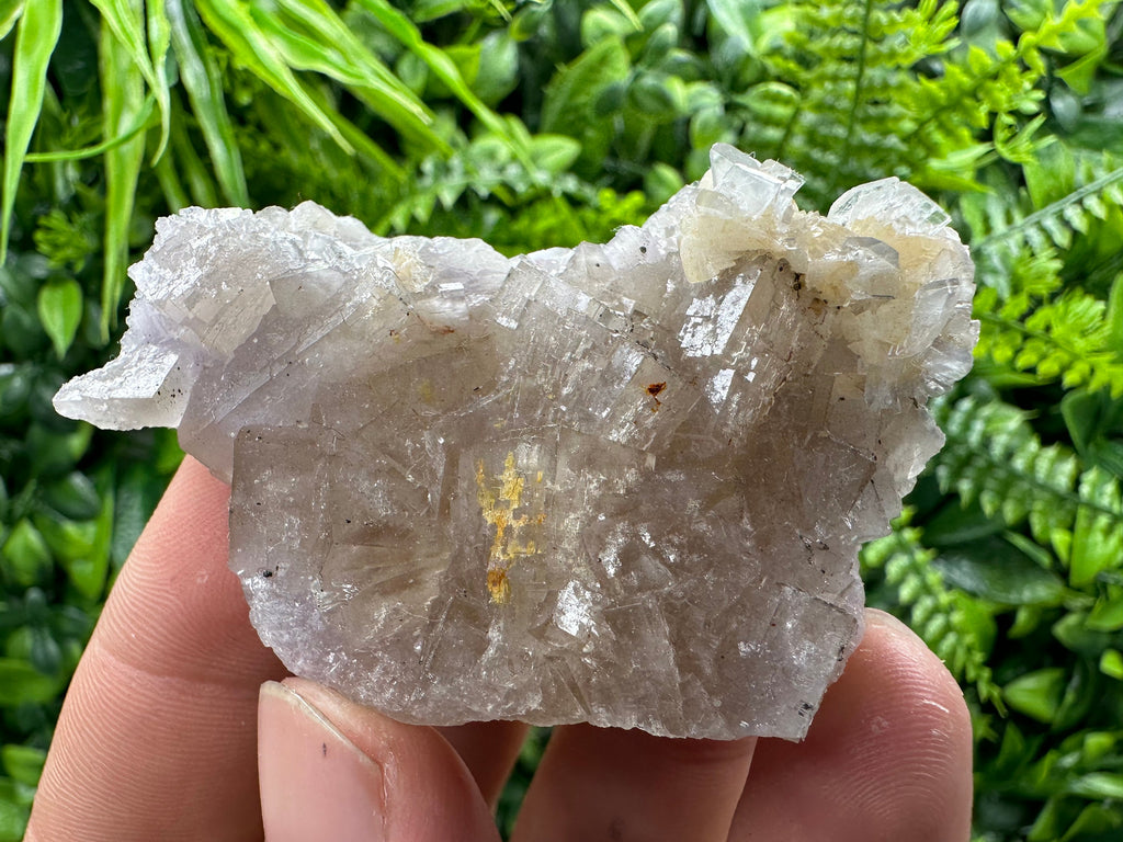 Spanish Fluorite Mineral Specimen: Crystal Collection