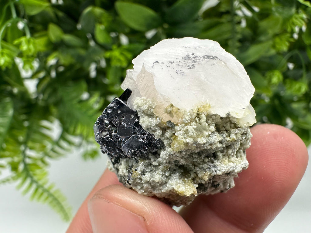 Galena, Calcite, Quartz, and Chlorite Specimen: Borieva Mine Mineral Collection