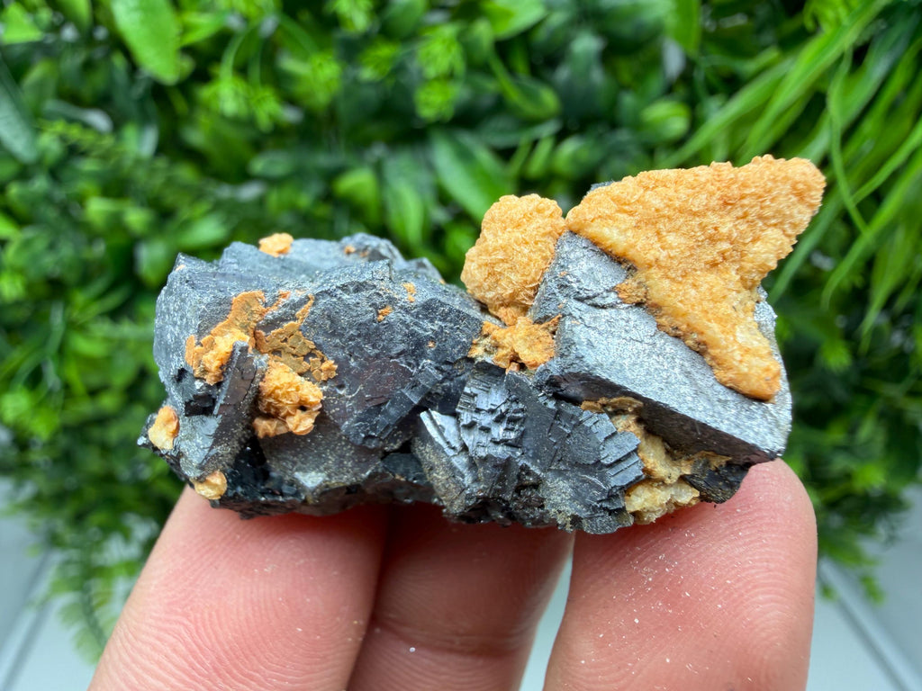 Skeletal Galena with Dolomite: Krushev Dol Mine, Bulgaria