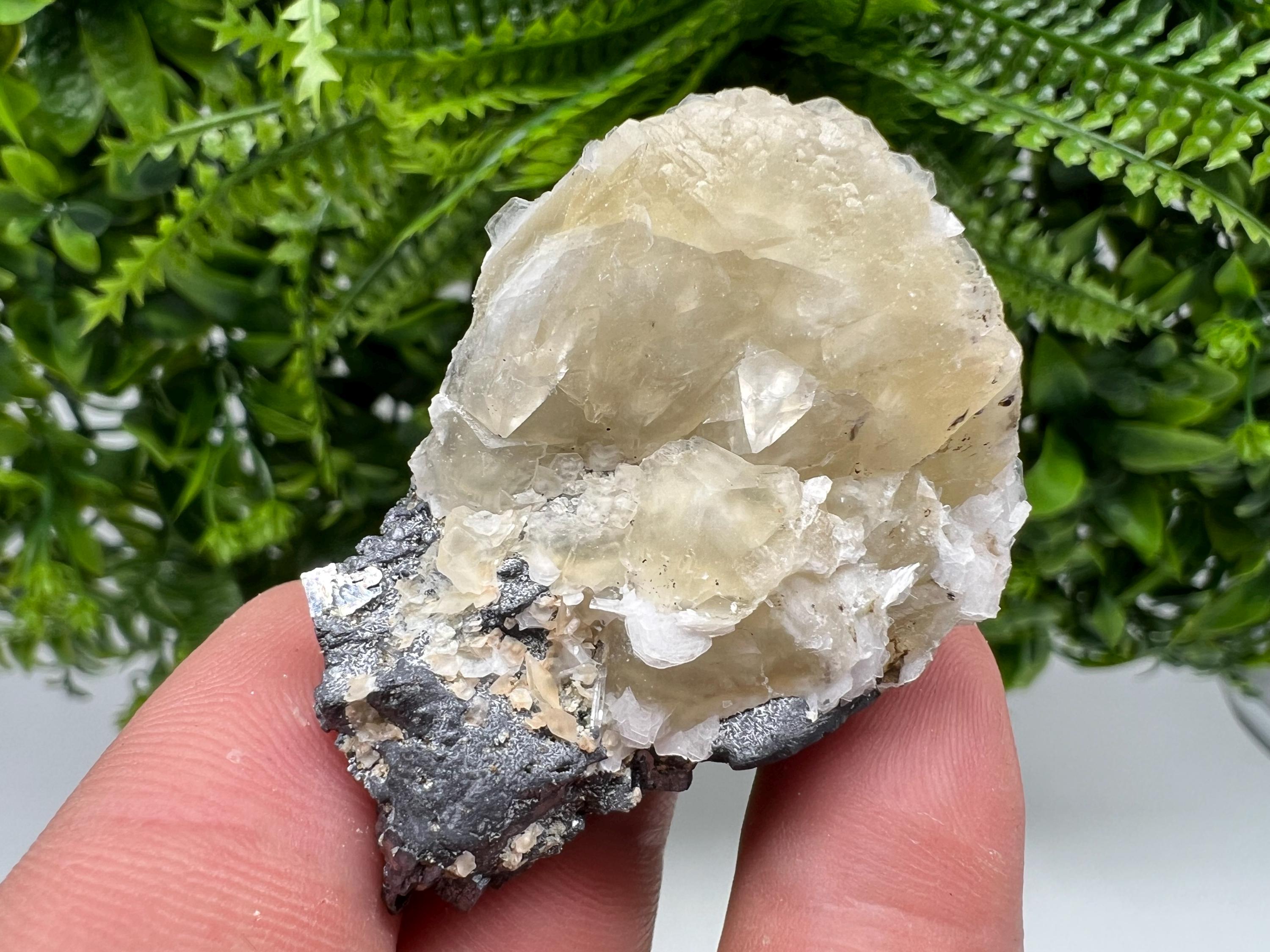 Calcite on Galena Specimen: Borieva Mine, Bulgaria