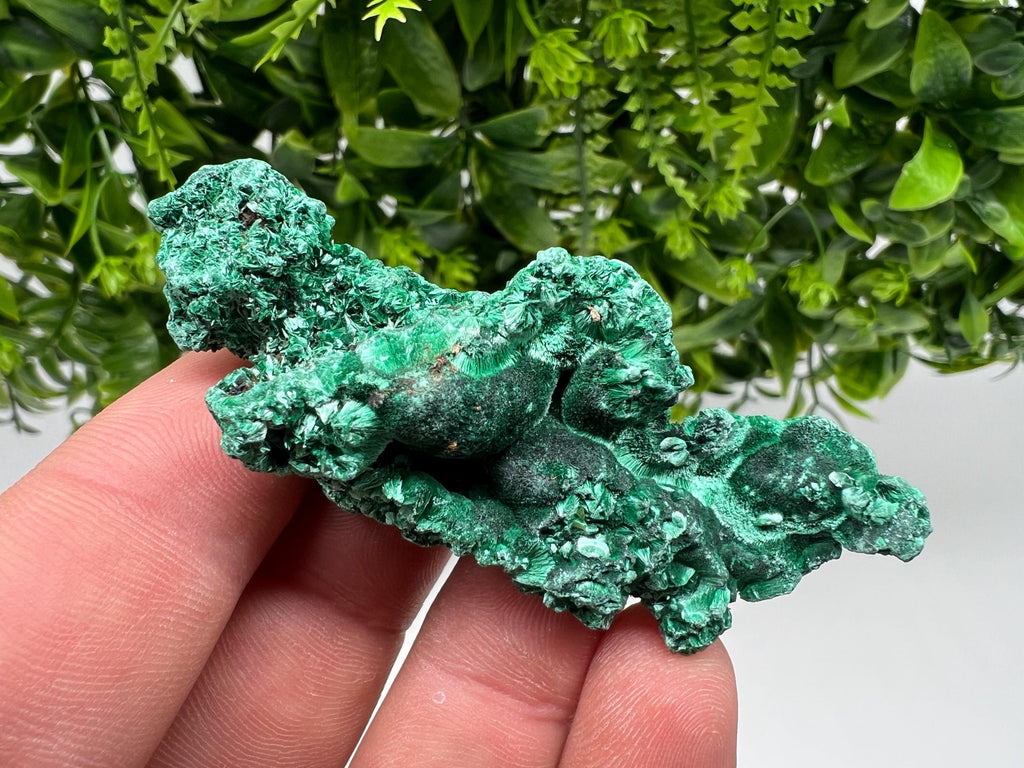Polished Green Malachite Crystal, Congo Mineral Specimen