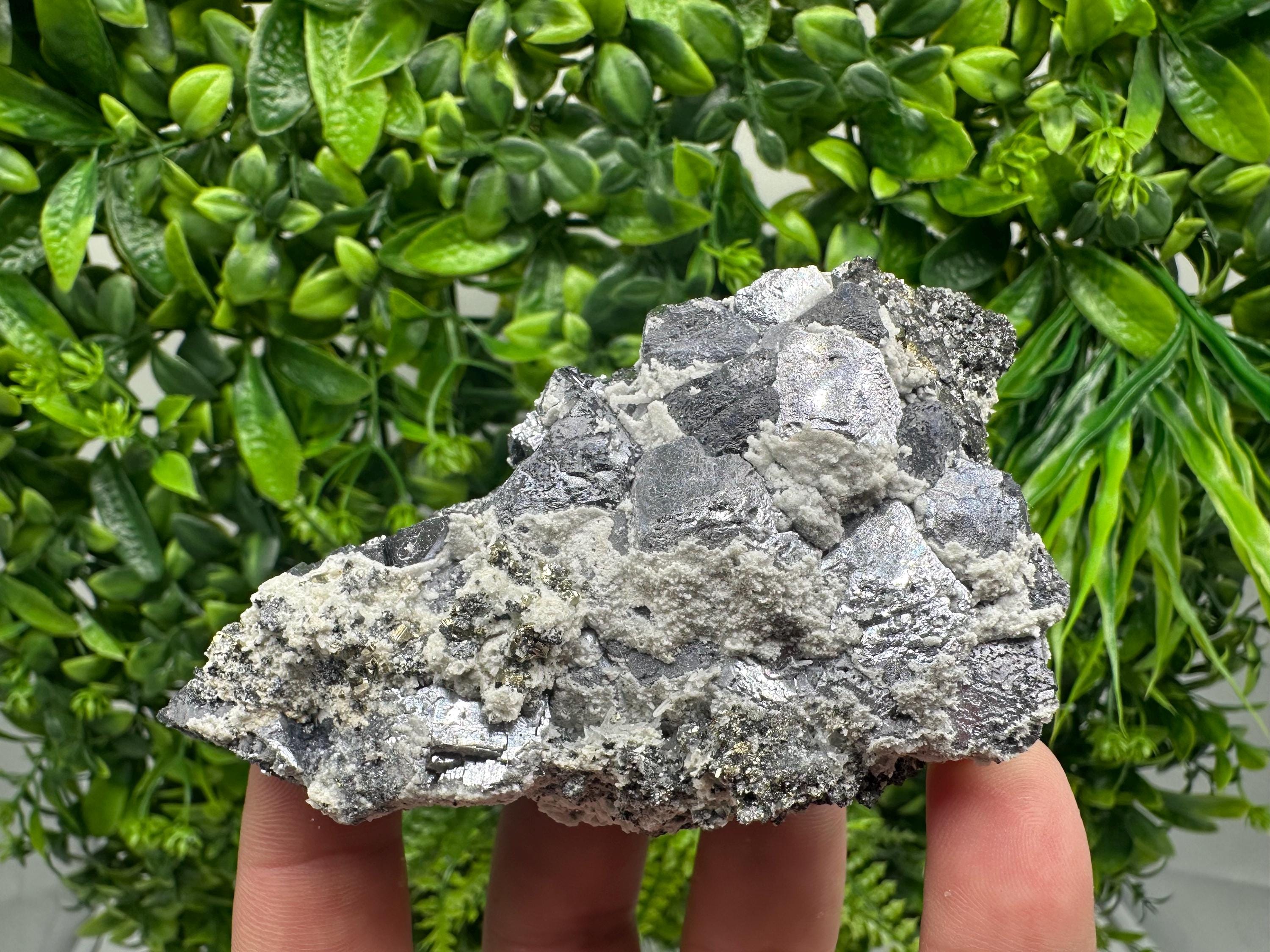 Galena with Quartz Specimen: Krushev Dol Mine, Bulgaria