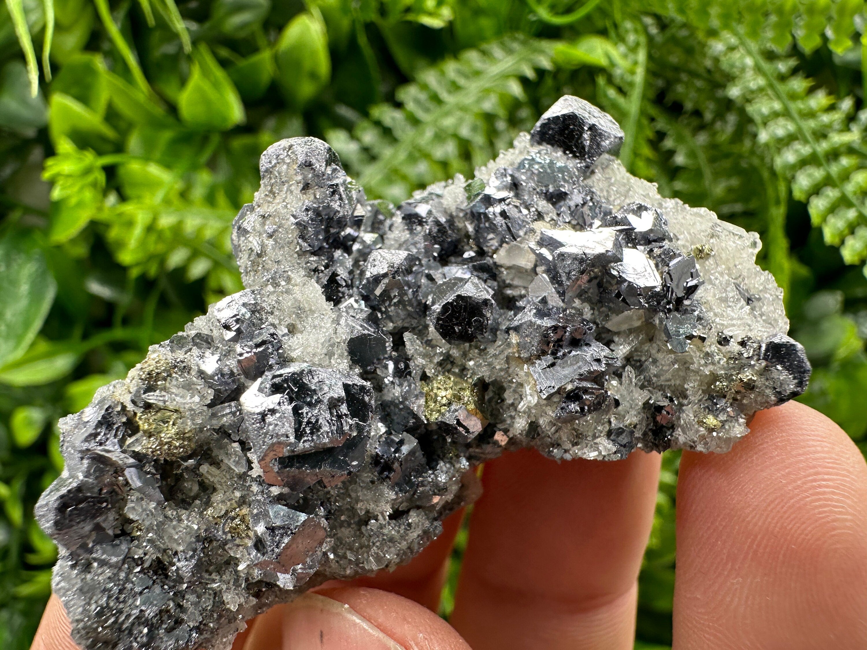 Galena Chalcopyrite on Quartz: Crystal Home Decor, Borieva Mine