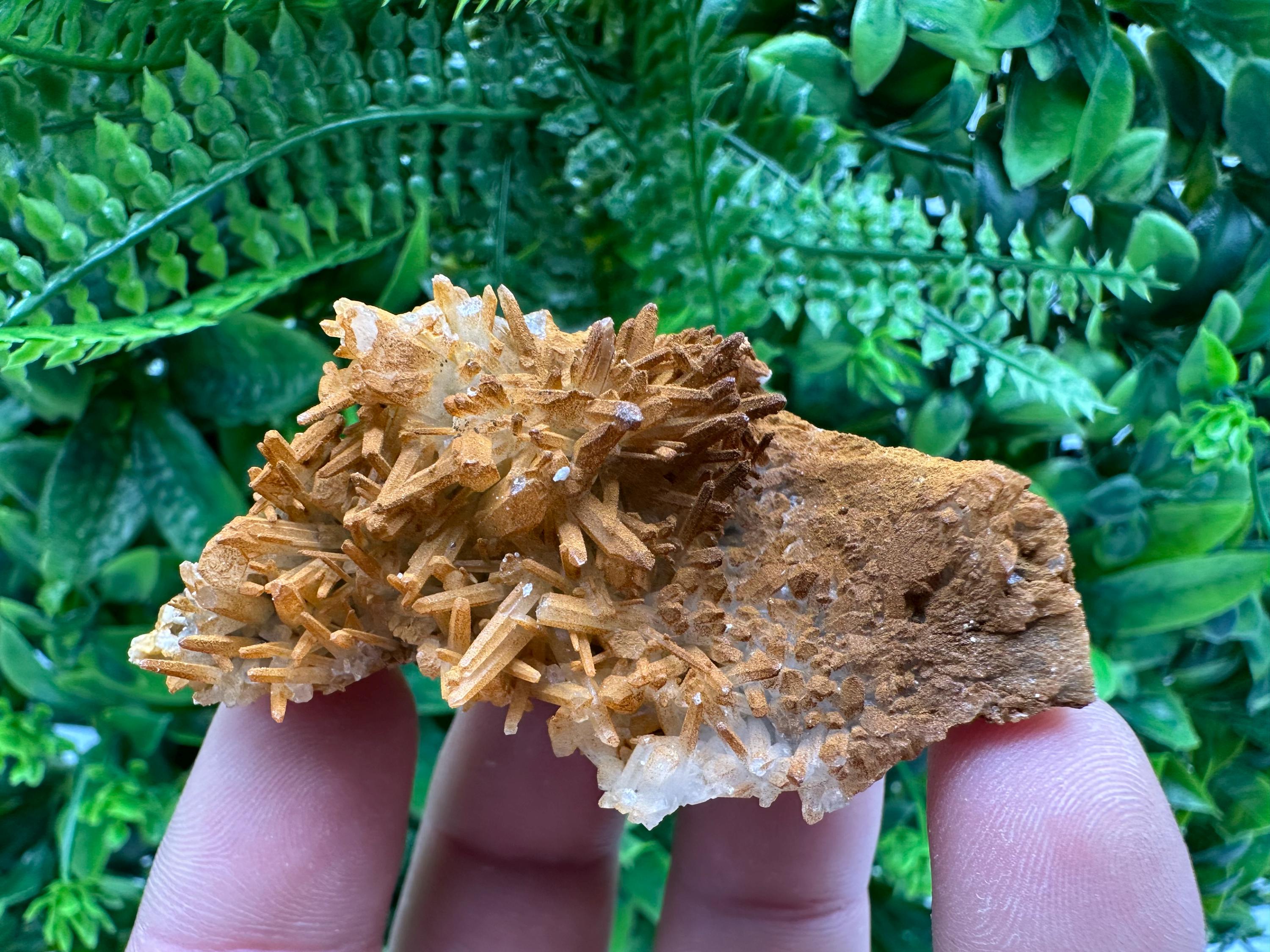 Limonite Coated Quartz Crystal - Iron Oxide Mineral Specimen