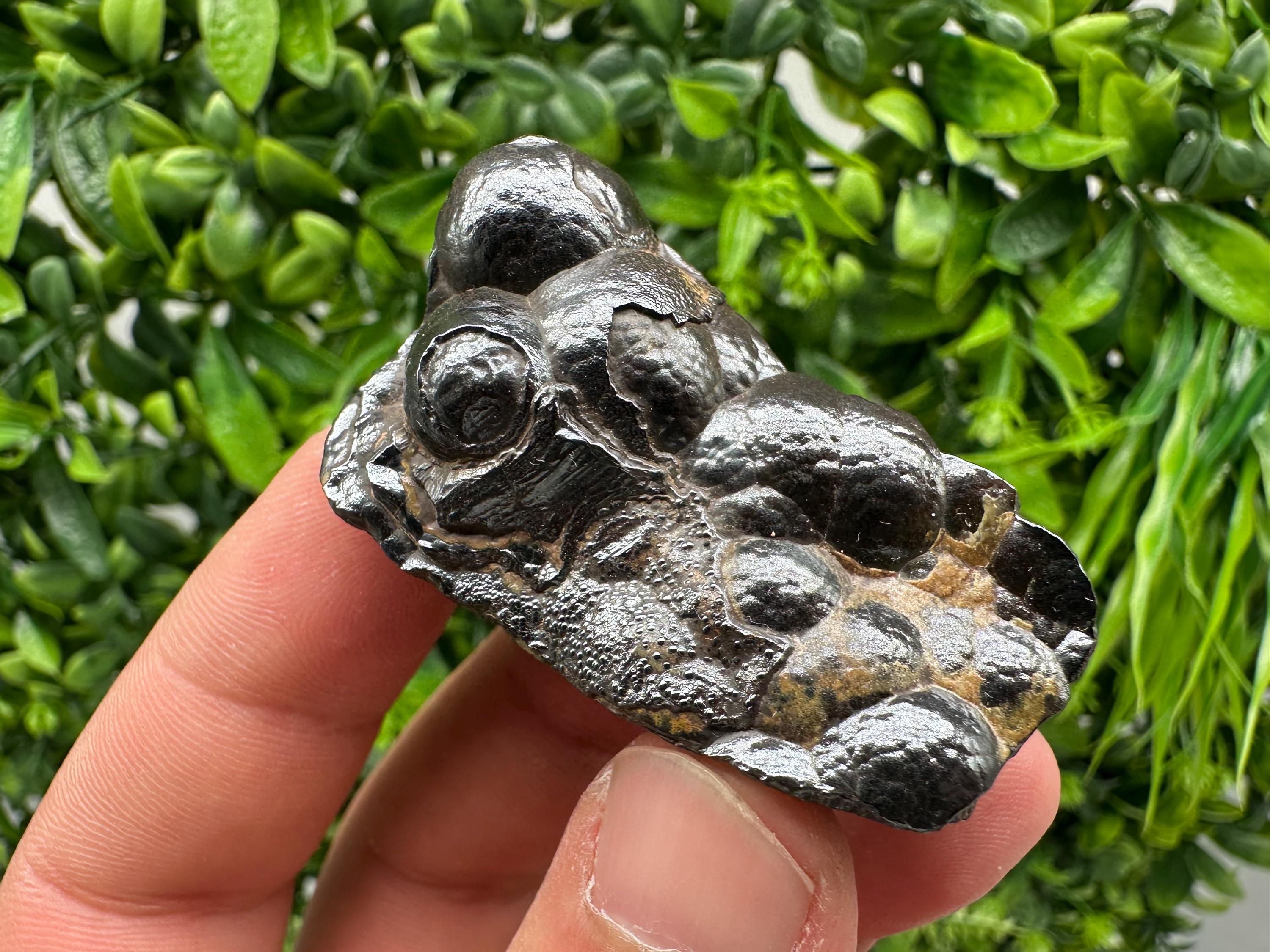 Botryoidal Black Hematite Specimen: Moroccan Crystal for Reiki Chakra