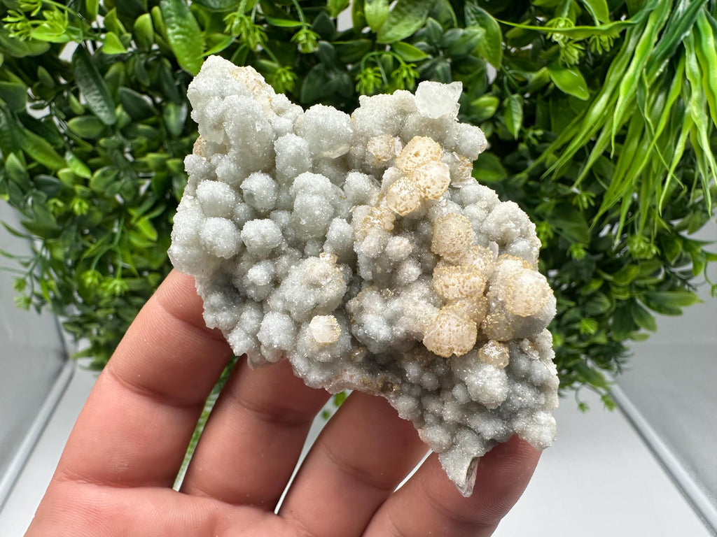 Quartz whit Brown Rhodochrosite from Djurcovo mine,Bulgaria,Quartz,Rhodochrosite cluster,natural mineral,collection crystal,mineral specimen