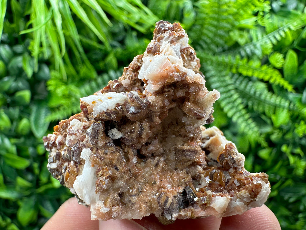 Red Vanadinite Crystal Cluster on Matrix, Morocco Specimen