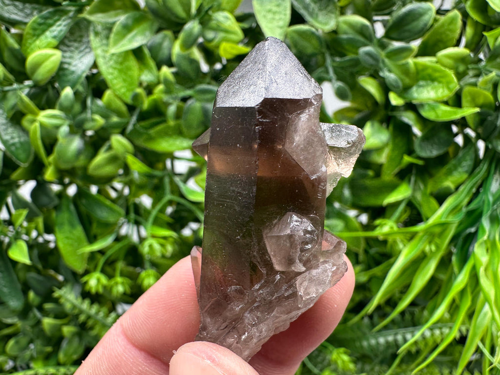 Rare Smoky Quartz Crystal Specimen, Brazil