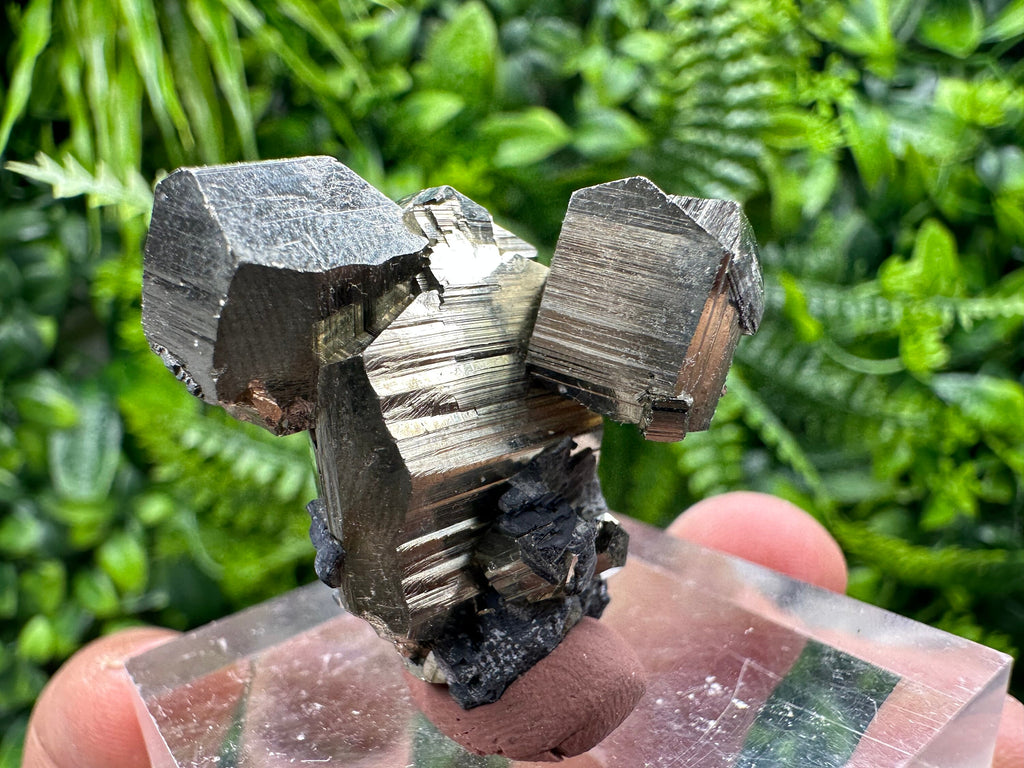 Rare Shiny Pyrite Cluster: Natural Crystal Mineral Souvenir