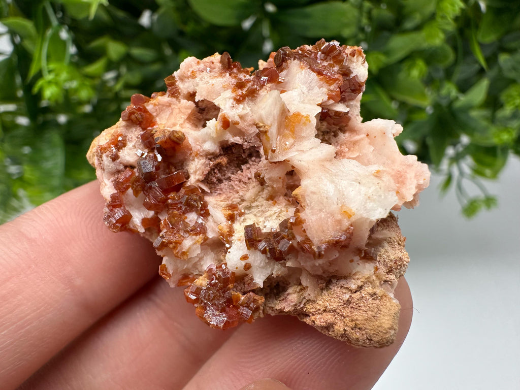 Red Vanadinite on Barite from Marocco,crystal minerals Speciment cluster Vanadinite crystal Vanadinite Geology Vanadinite cluster minerals