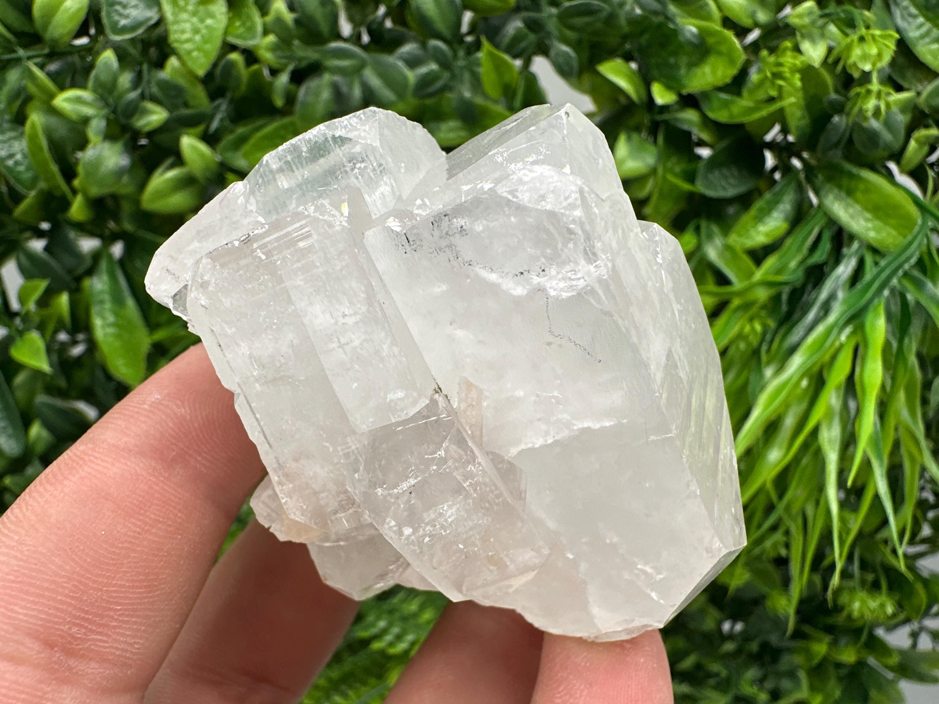 Apophyllite Stilbite on Chalcedony, India Crystal Mineral Specimen