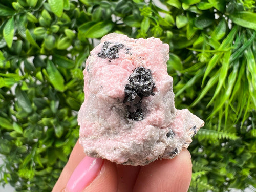 Beautiful Rhodochrosite perfect pink color Starnica Mine Davidcovo Bulgaria natural minerals souvenir crystal gift home decor stone gift