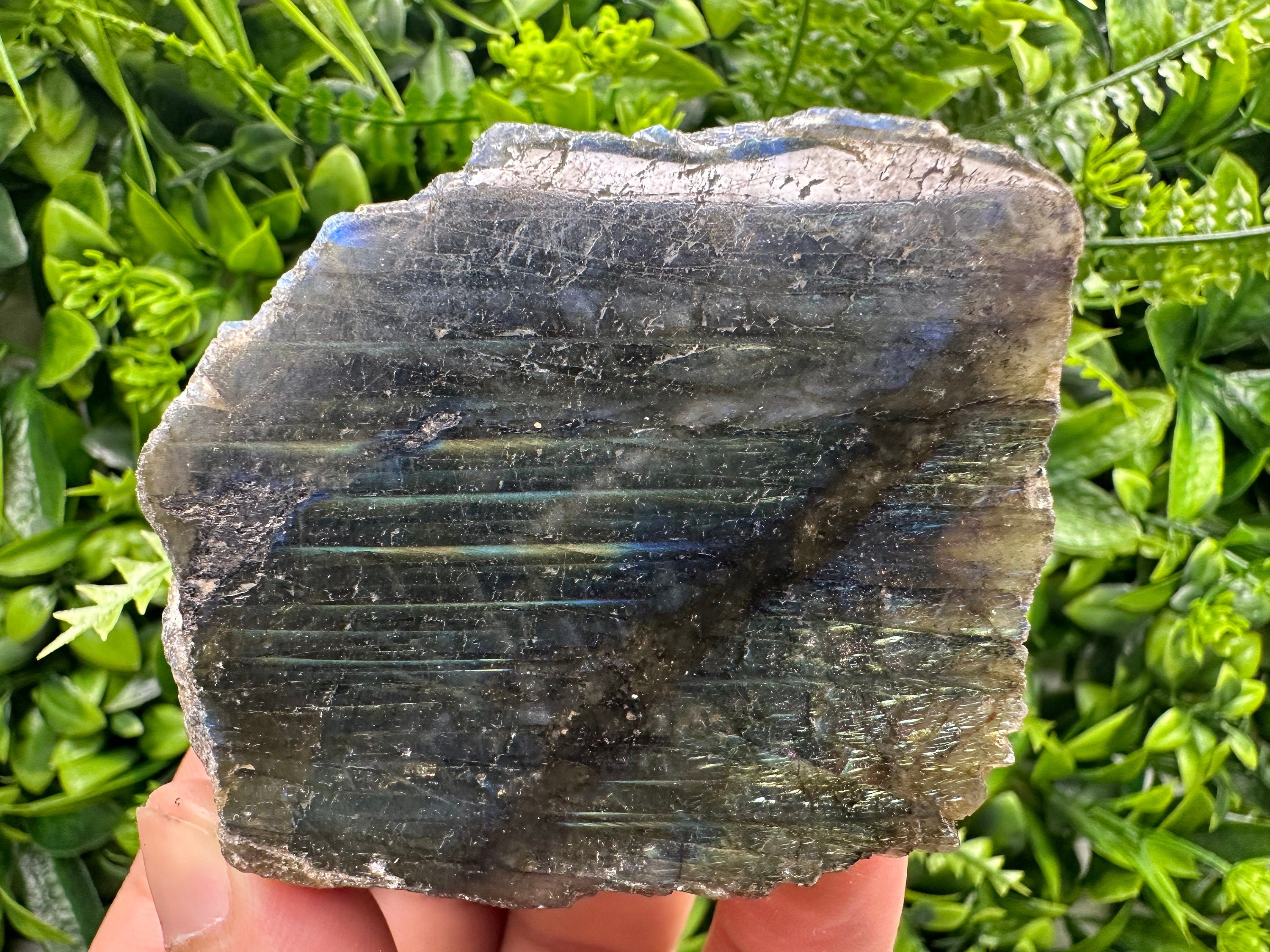 Natural Multifire Labradorite Slab: Polished Crystal Decor (7/6/4.5)