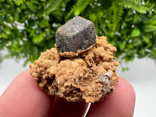 Chalcopyrite with Hematite on Siderite Specimen, Mineral Collection of Bulgaria