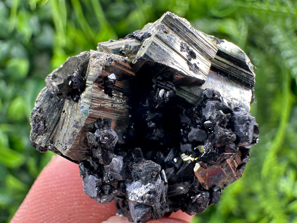 Shiny Pyrite Sphalerite Crystal: Borieva Mine, Bulgaria