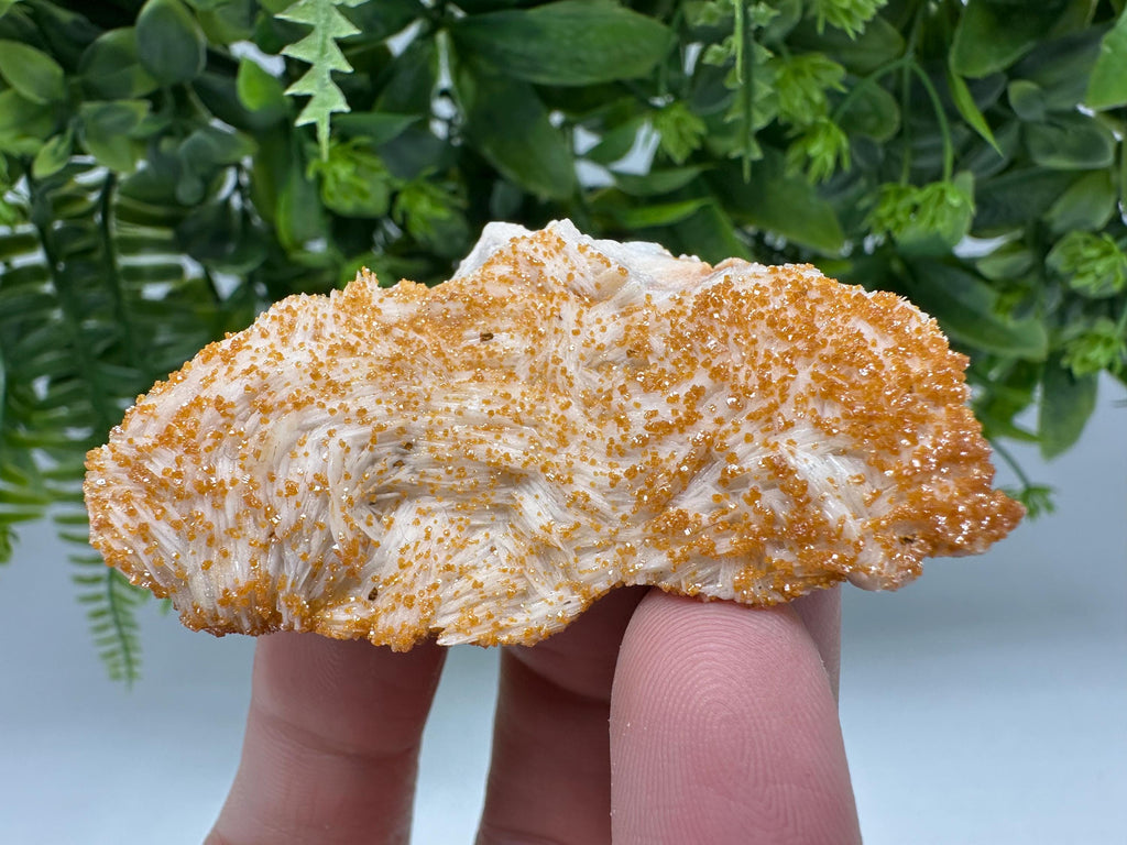Red Vanadinite on Barite Crystal Specimen from Morocco, Mineral Cluster