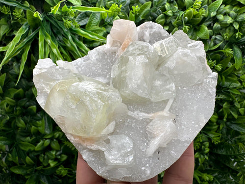 Apophyllite Stilbite on Chalcedony, India Crystal Specimen