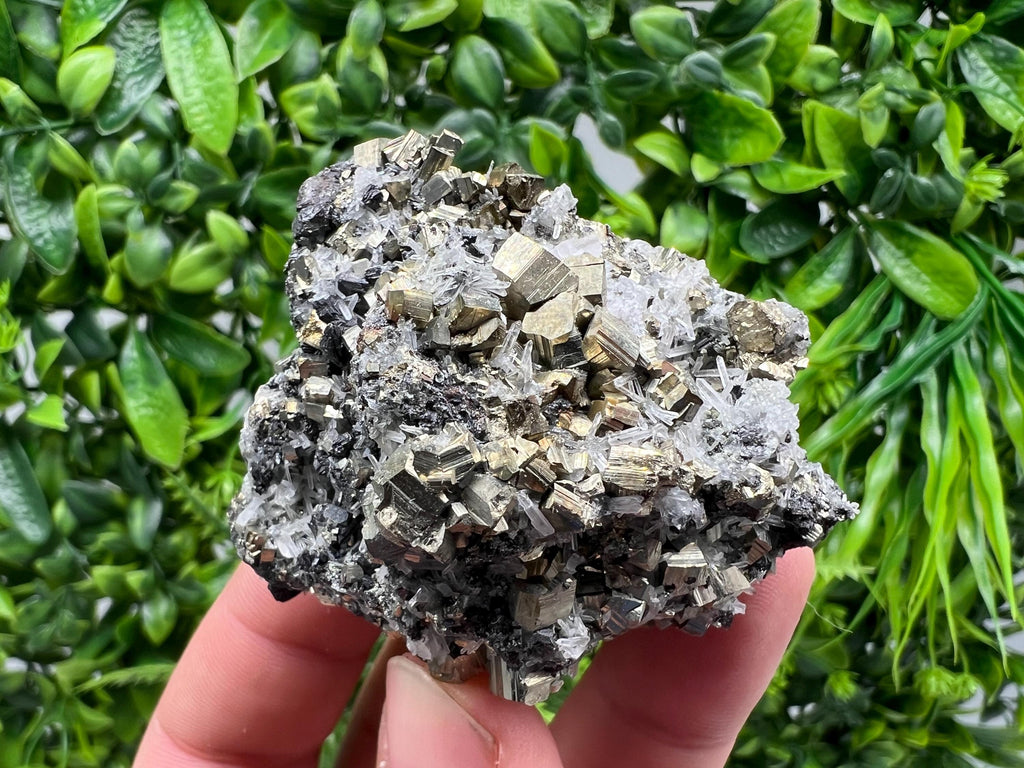 Rainbow Pyrite on Quartz, Natural Mineral Specimen, Borieva Bulgaria