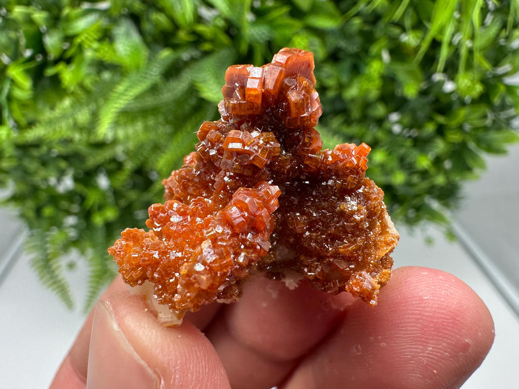 Red Vanadinite on Barite from Marocco,crystal minerals Speciment cluster Vanadinite crystal Vanadinite Geology Vanadinite cluster minerals
