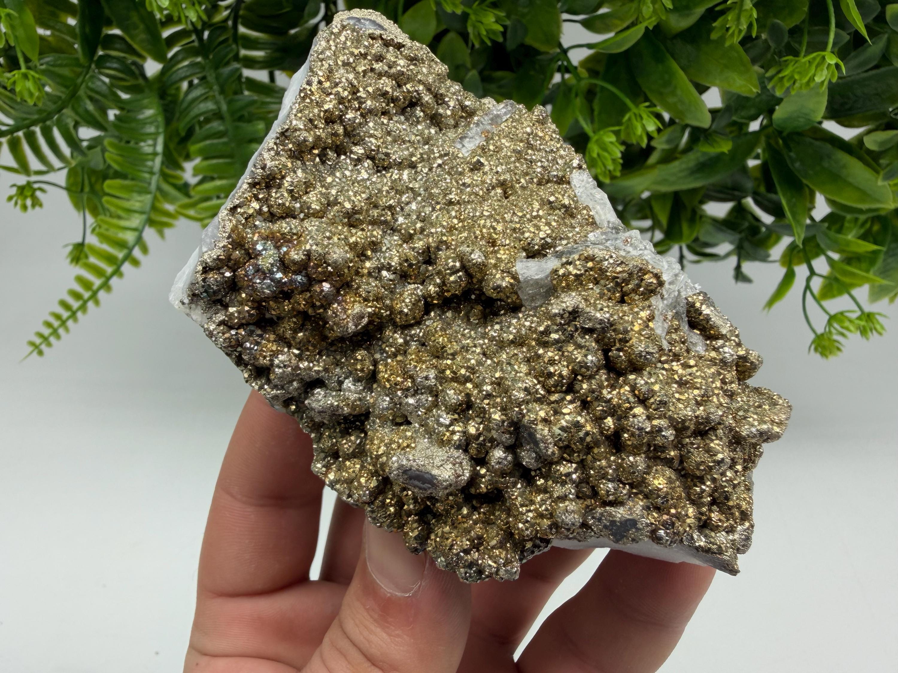 Marcasite Cluster on Chalcedony Mineral Specimen, Androvo Mine Bulgaria