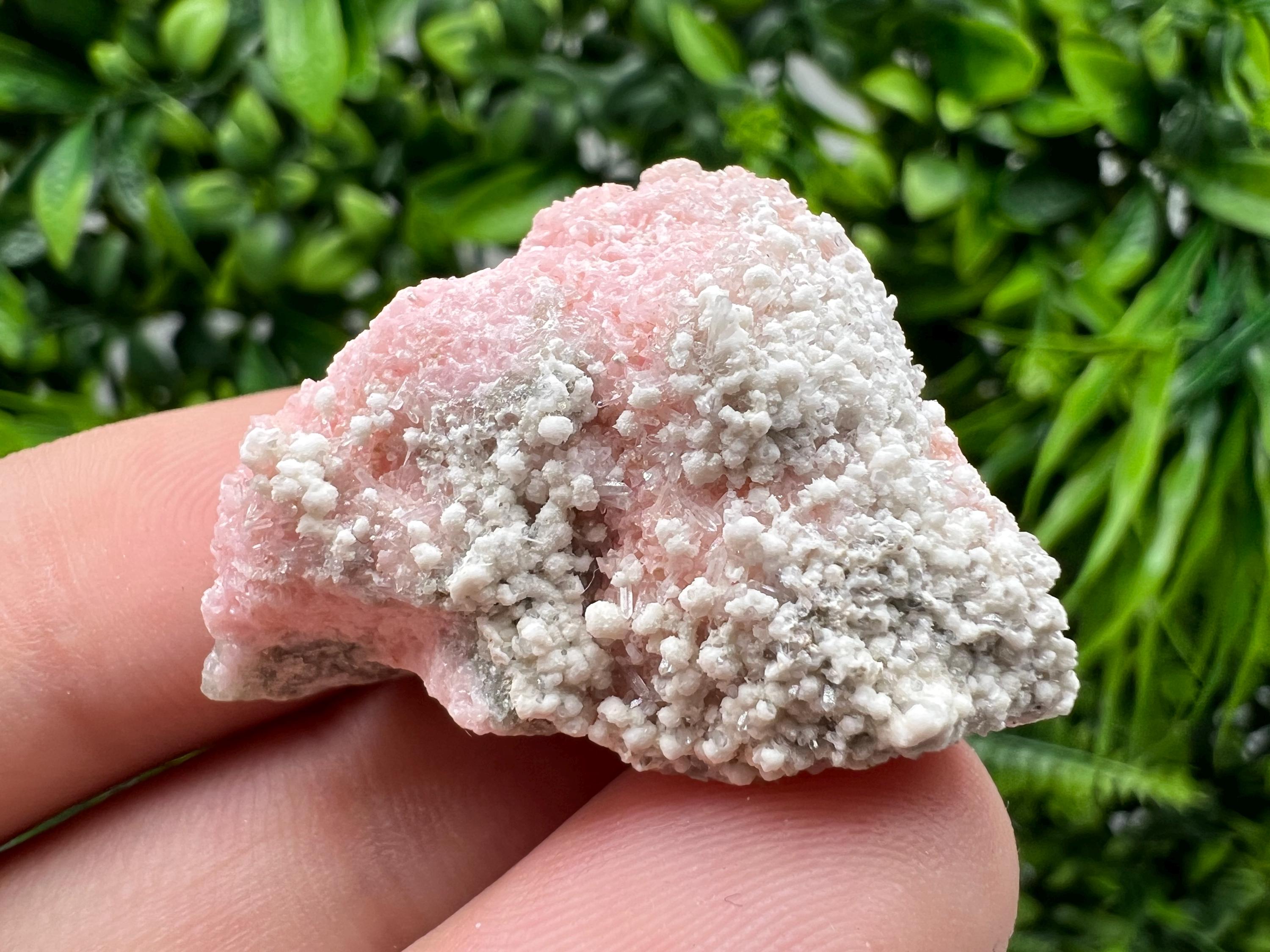 RARE Rhodochrosite with White Calcite, Starnica Mine, Bulgaria
