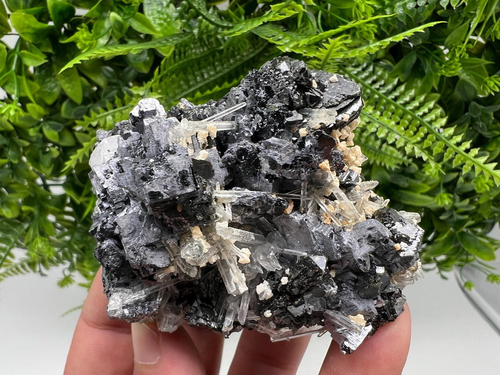 Galena Sphalerite Quartz Mineral Specimen, Krushev dol Mine, Bulgaria