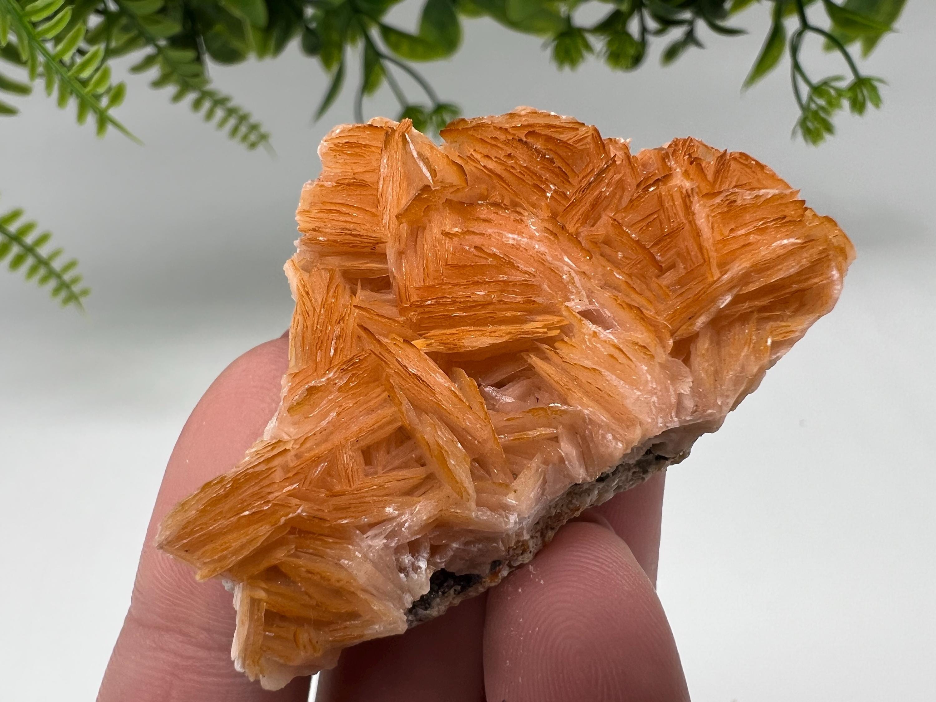 Wonderful Baryte with Cerussite on Galena from Morocco,Crystal, Mineral,Specimen,Cluster,Crystals,Barite Crystal,Cerussite Crystal,Specimen