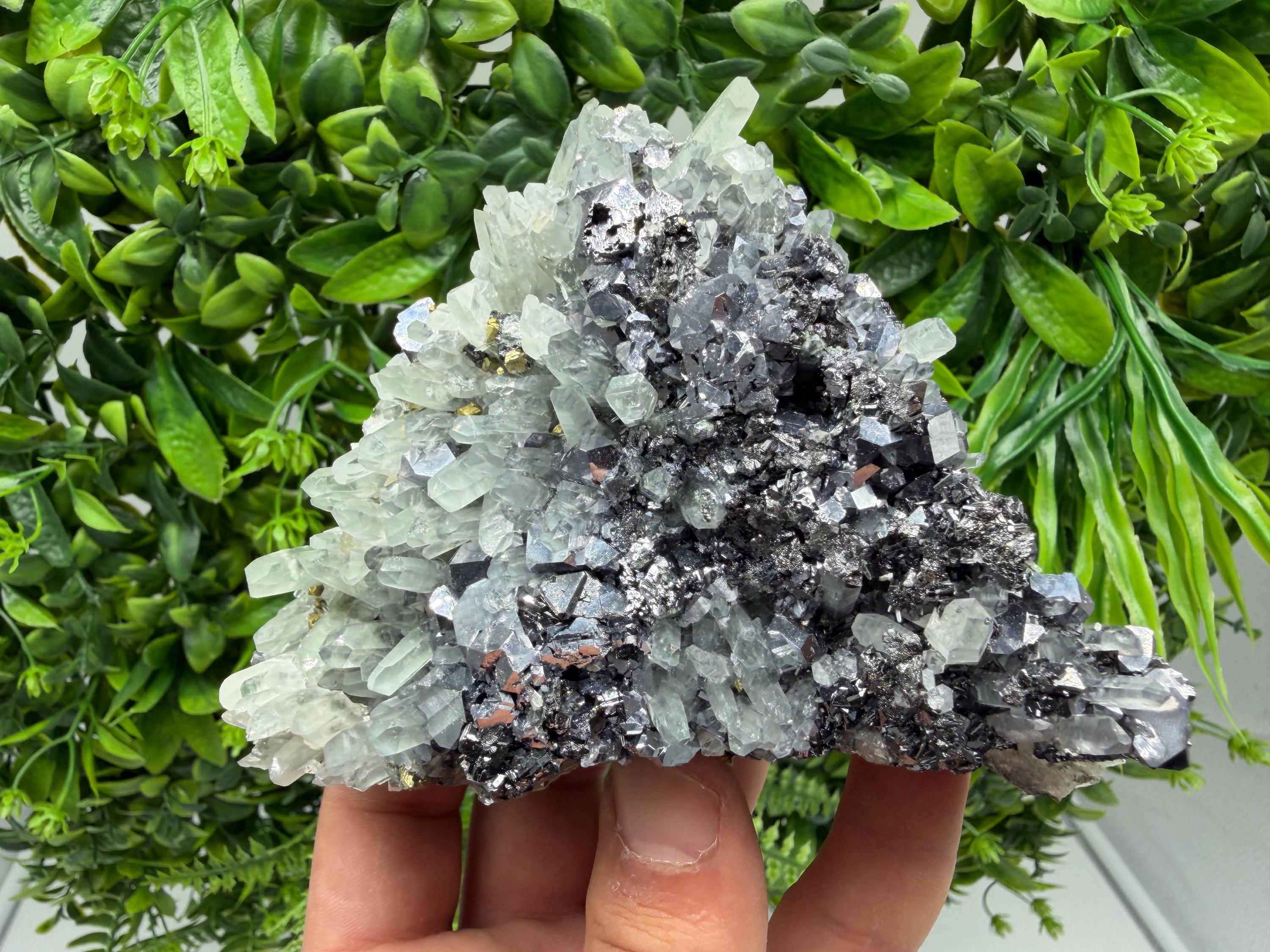 Galena Sphalerite Pyrite on Quartz, Borieva Mine, Bulgaria