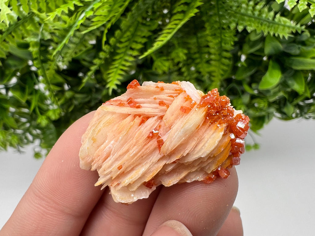 Red Vanadinite on Barite, Morocco Crystal Specimen