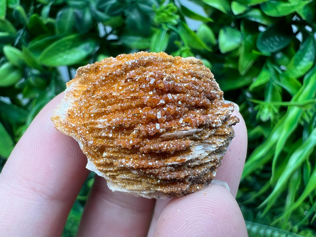 Red Vanadinite on Barite from Marocco,crystal minerals Speciment cluster Vanadinite crystal Vanadinite Geology Vanadinite cluster minerals