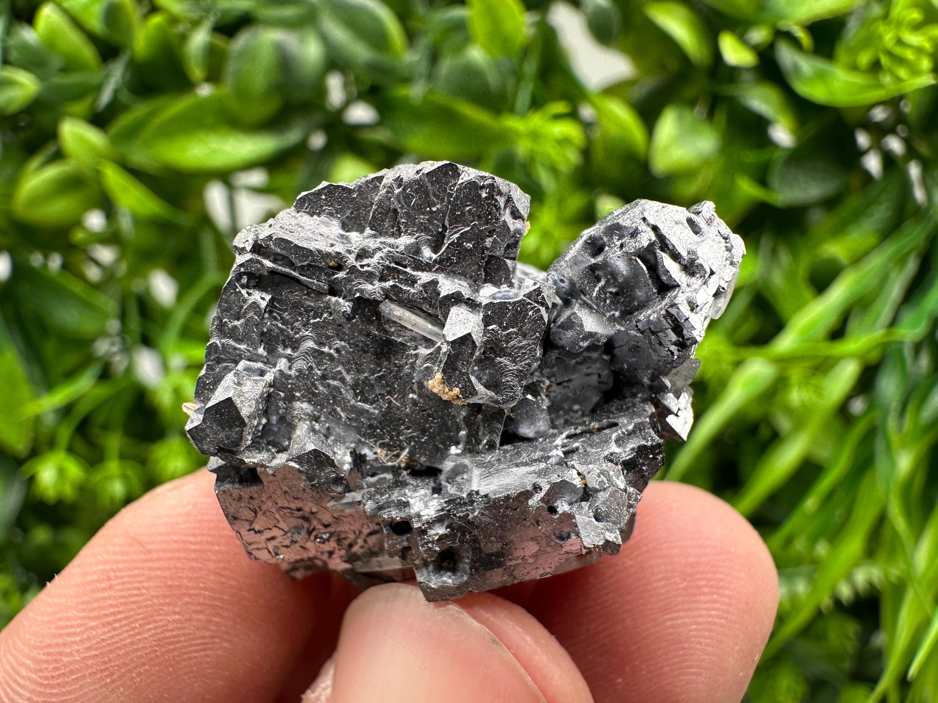 Skeletal Galena on Sphalerite Crystal Mineral Specimen