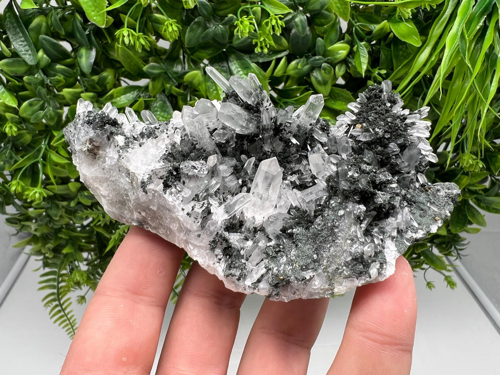 Chlorite Quartz Crystal Cluster - Borieva Mine, Bulgaria