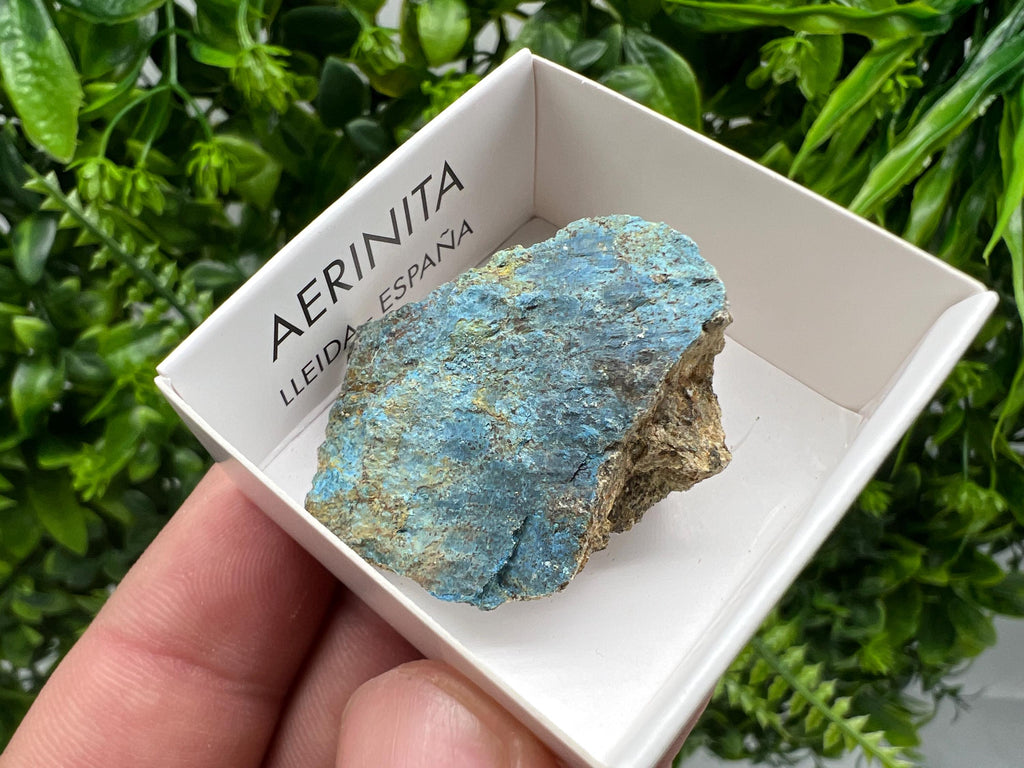 Rare Raw Aerinite Crystal, Mineral Specimen from Lleida, Spain