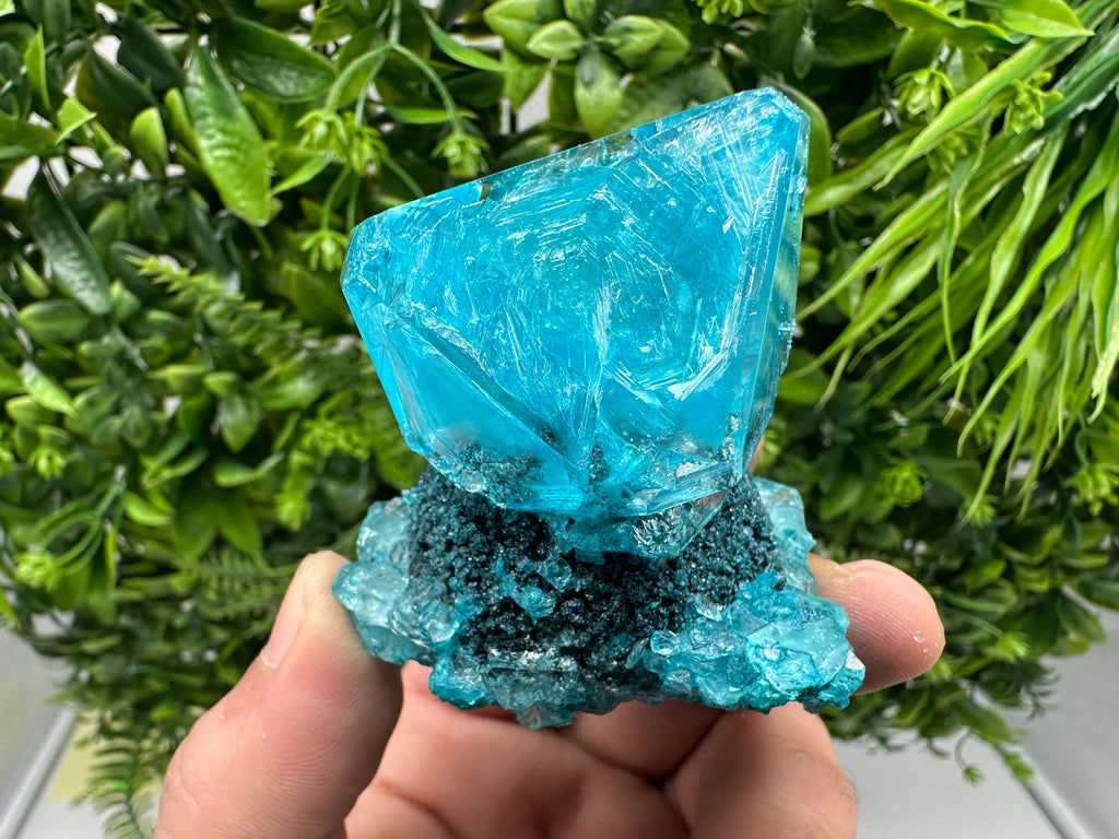 Exceptional Turquoise ALUNITE Aqua Crystal on Matrix UV Active, lab minerals
