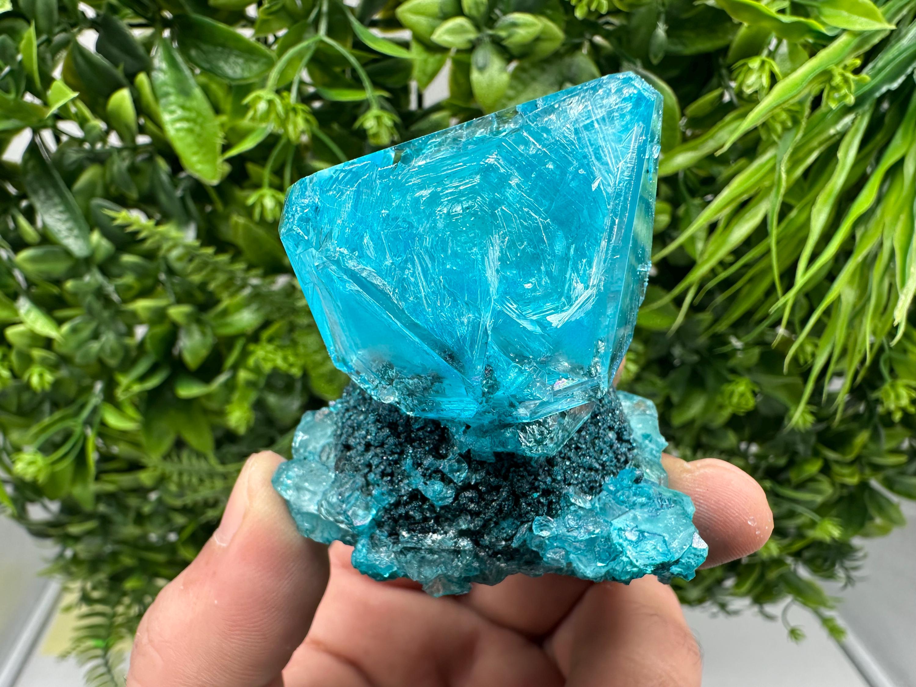 Exceptional Turquoise ALUNITE Aqua Crystal on Matrix UV Active, lab minerals