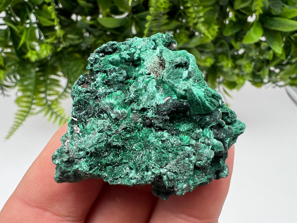 Malachite Crystal from Congo,Minerals,Crystals from Congo,Green Malachite, Malachite,Natural Malachite,Malachite Stone,Chakra, Specimens