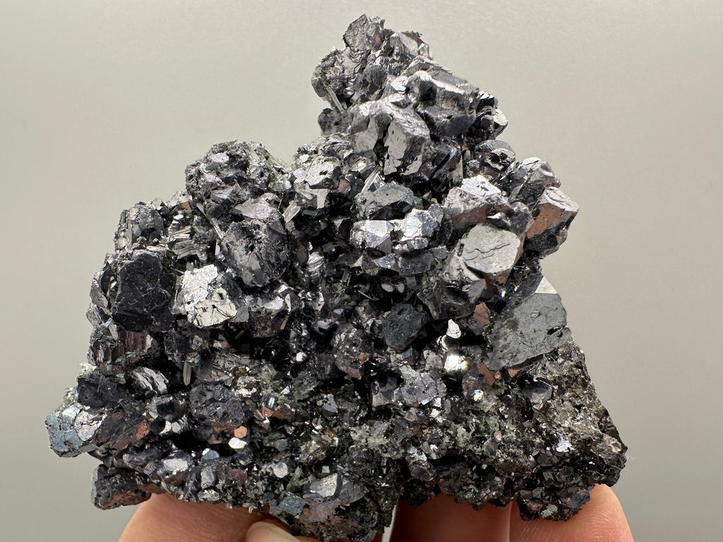 Shiny Galena on Sphalerite, Borieva Mine, Bulgaria