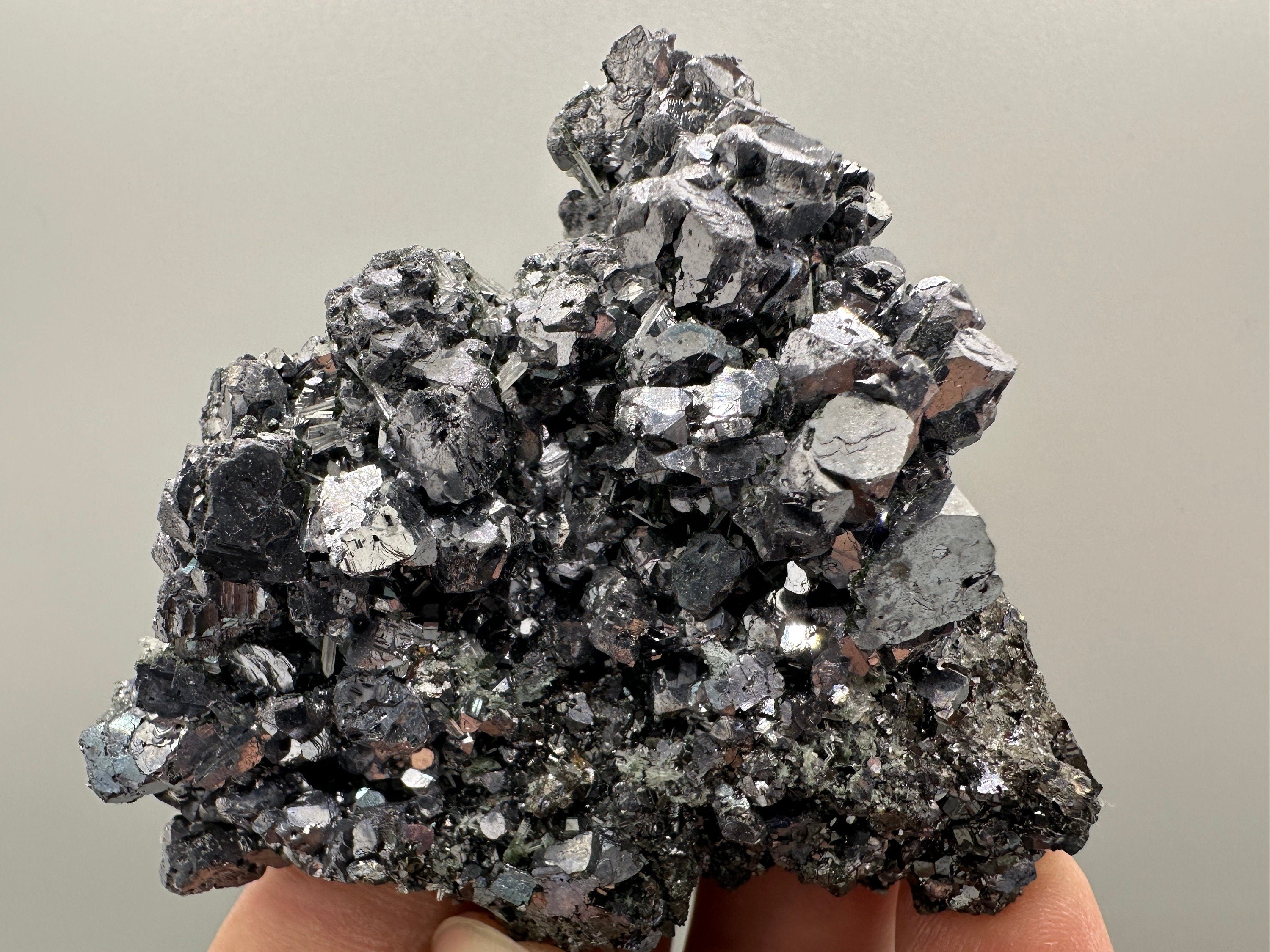 Shiny Galena on Sphalerite, Borieva Mine, Bulgaria