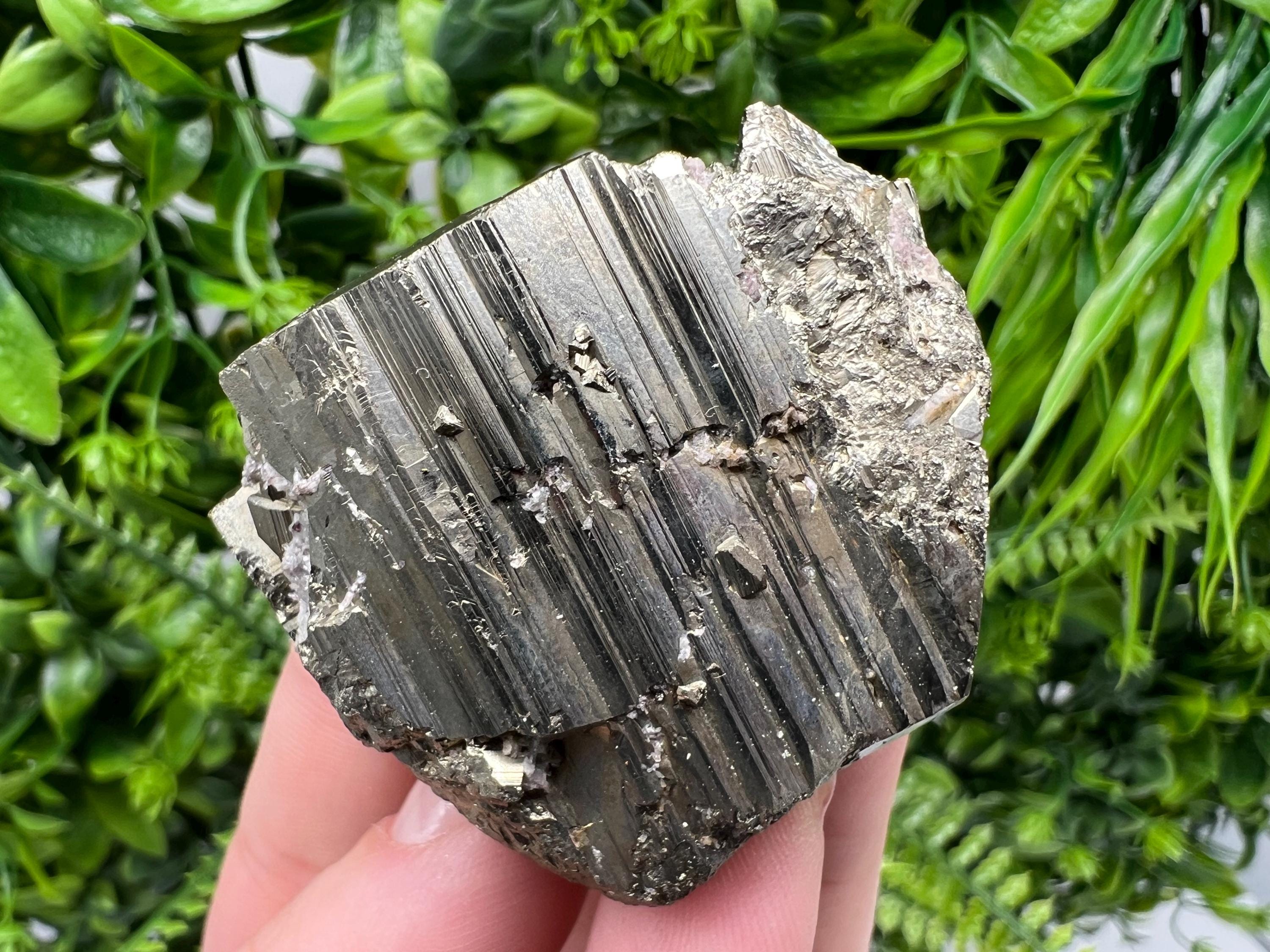 Shiny Pyrite Cluster, Borieva Mine, Bulgaria, Crystal Specimen