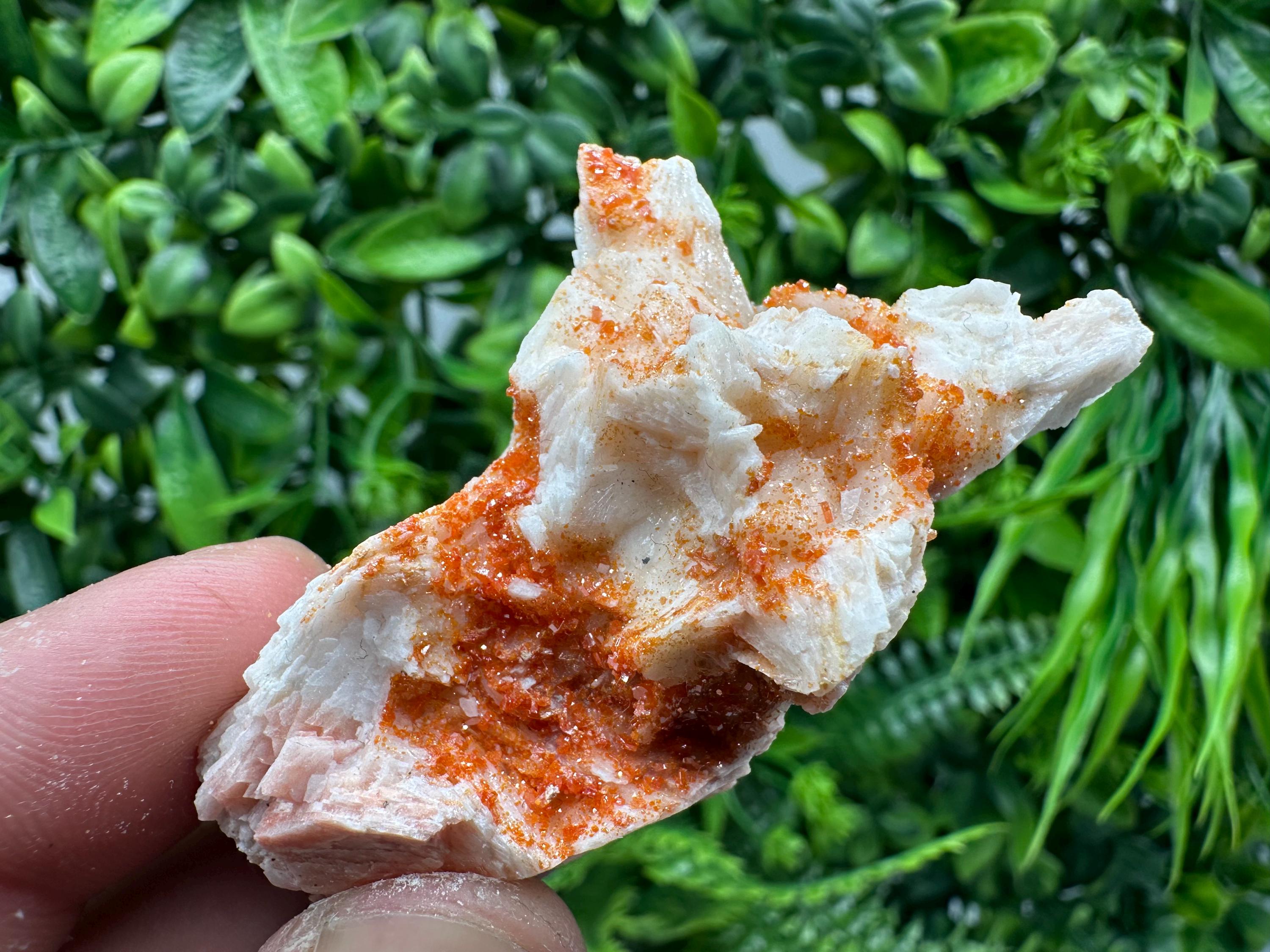 Red Vanadinite on Barite, Moroccan Crystal Cluster