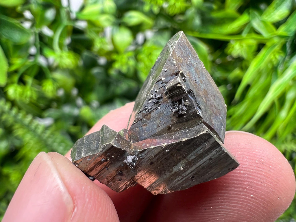 Rare Crystallization Pyrite, Borieva Mine, Bulgaria, Rainbow Golden Pyrite