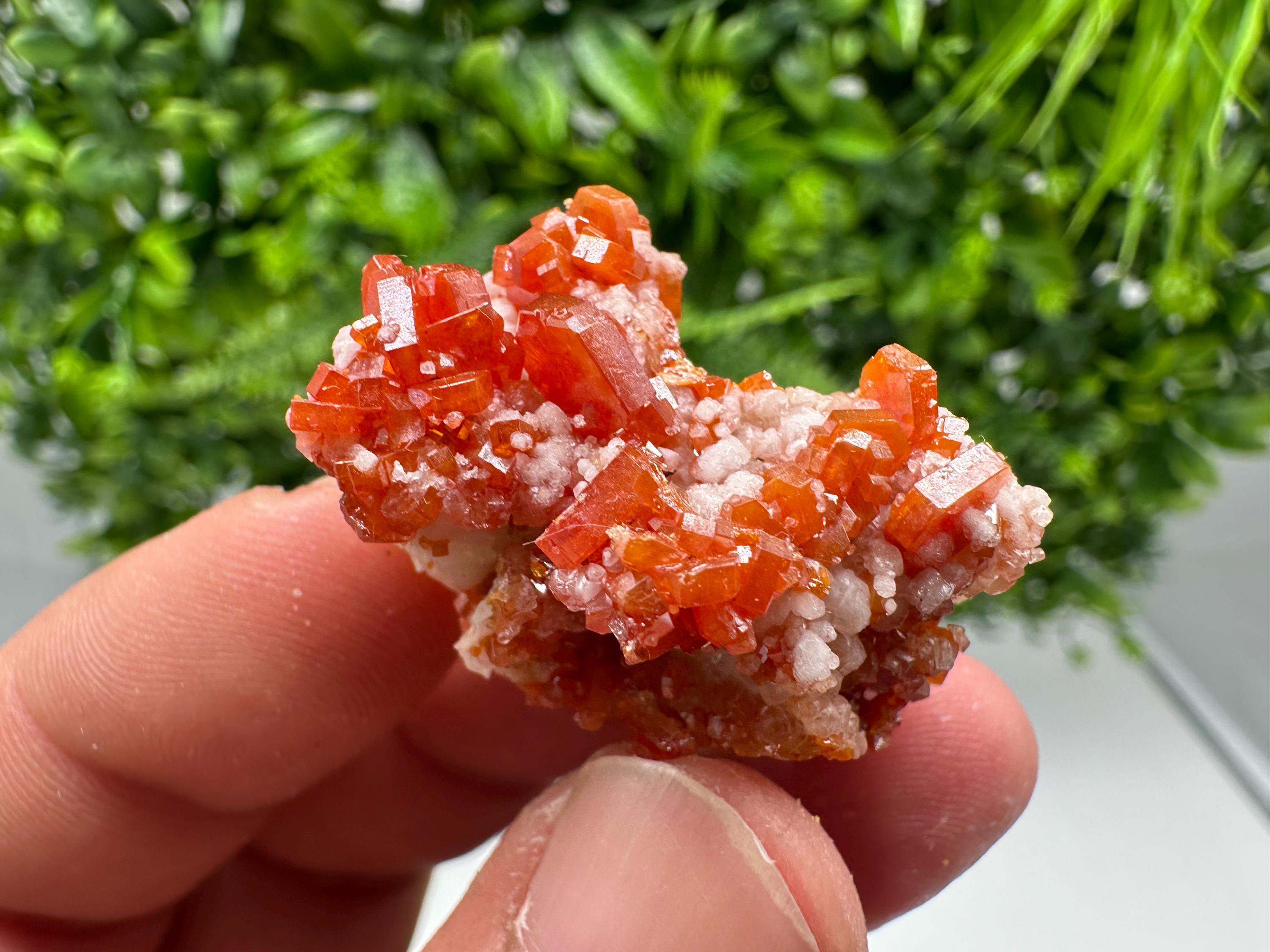 Red Vanadinite on Barite from Marocco,crystal minerals Speciment cluster Vanadinite crystal Vanadinite Geology Vanadinite cluster minerals