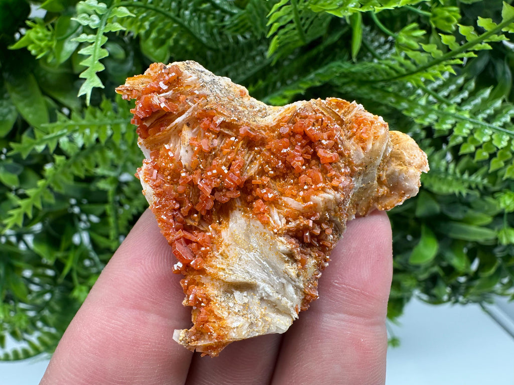 Red Vanadinite Crystal Cluster on Matrix, Morocco Mineral Specimen