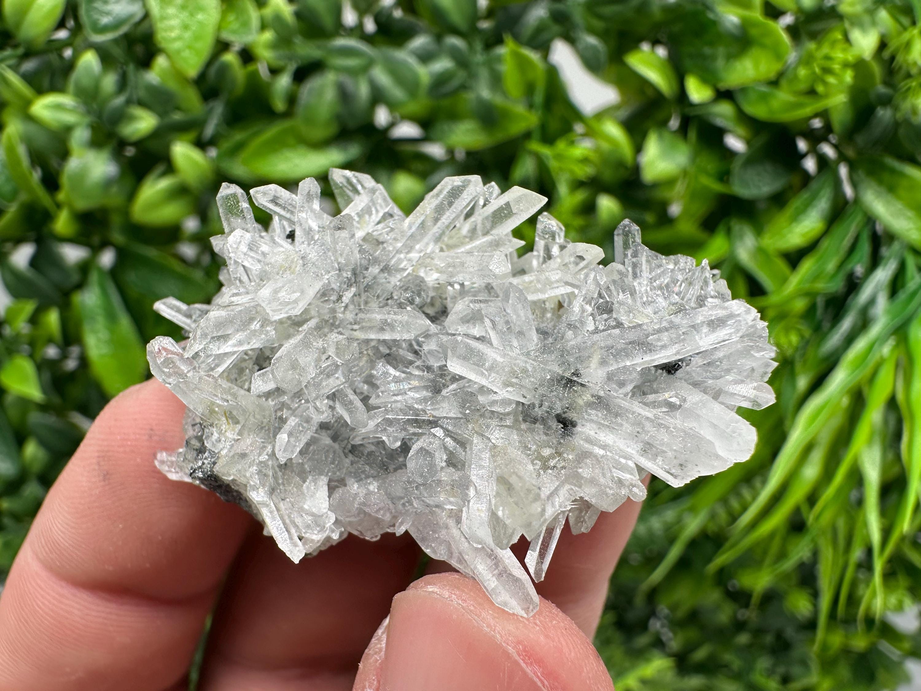Quartz with Epidote Specimen: Borieva Mine, Bulgaria