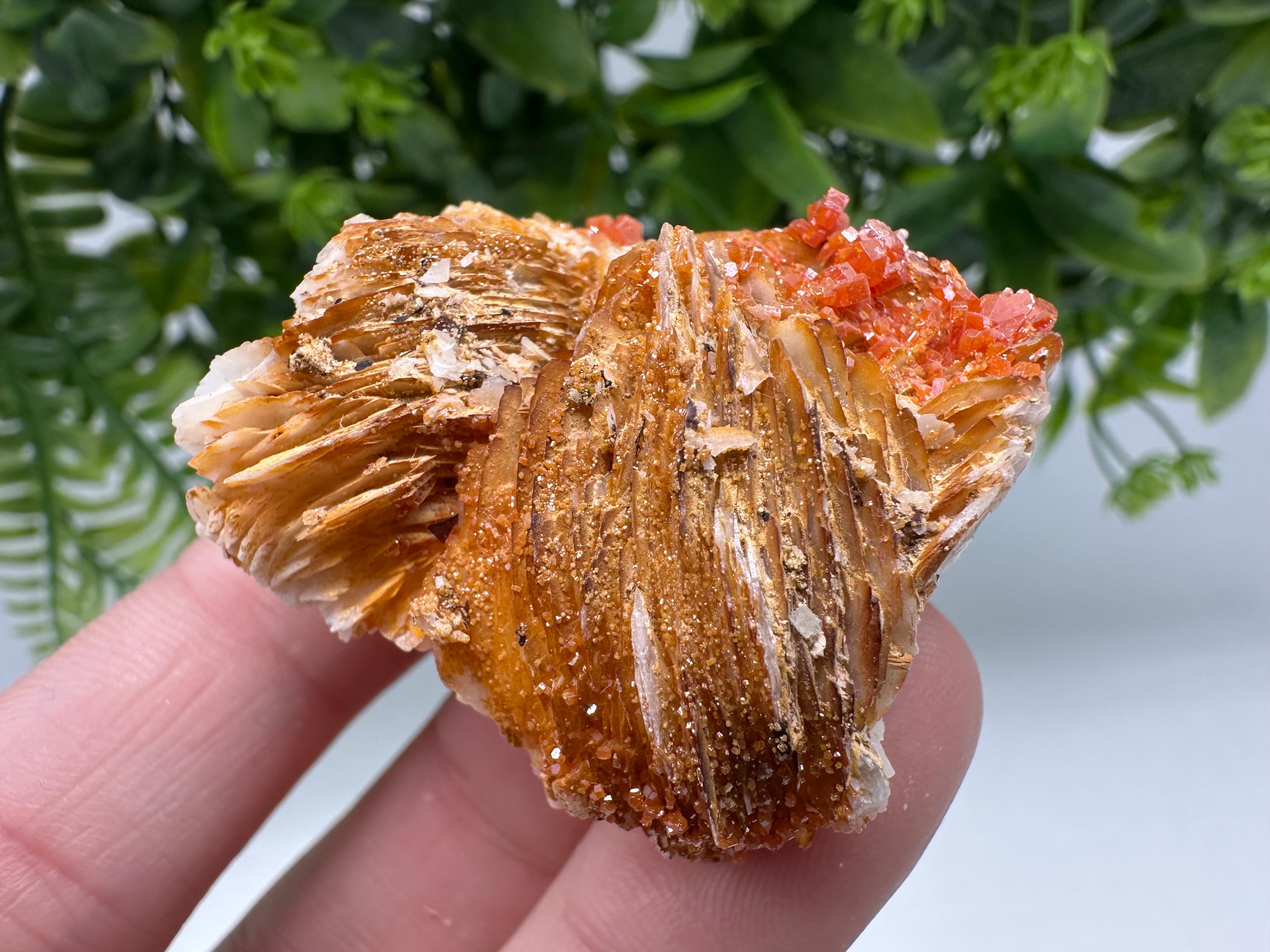 Red Vanadinite on Barite from Marocco,crystal minerals Speciment cluster Vanadinite crystal Vanadinite Geology Vanadinite cluster minerals